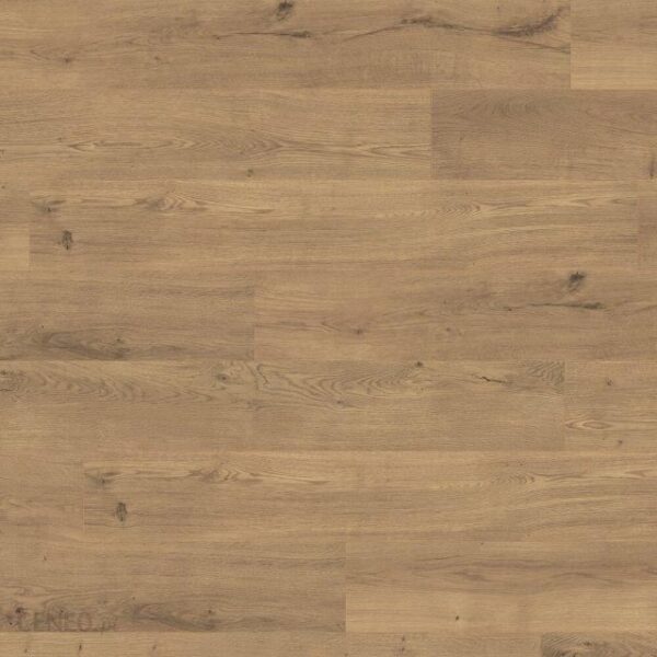 Panele podłogowe Nxt Floor Panele Podłogowe Home Ticino Oak Ac4 8 Mm (510031021)