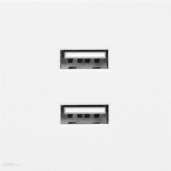 Orno Port modułowy USB podwójny 45x45mm z ładowarką USB 21A 5V DC biały NOEN (ORGM9010WUSBX2)
